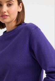 Customize Ladies Deluxe Crew Neck Sweatshirt - Image 3