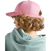 Hit Twill Curved Visor 6 Panel Sustainable Structured Cap Adult