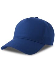Egon 5 Panel Structured High Profile Curved Visor Organic Cap Adult - Image 10